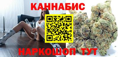 Альфа ПВП Новозыбков