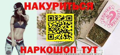 Альфа ПВП Новозыбков